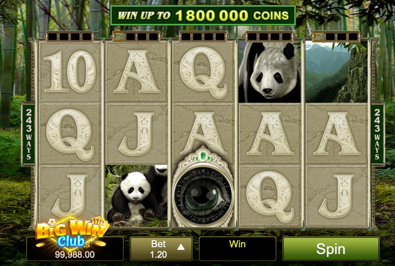 Panda Slot Machine Big Win