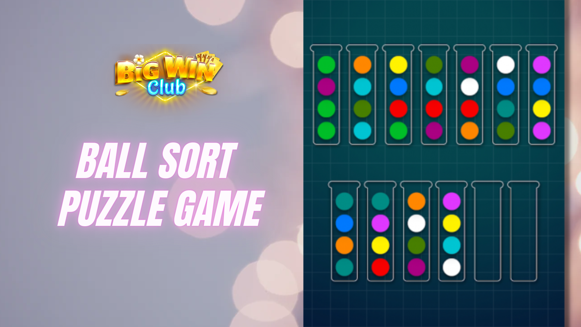 Ball Sort Puzzle Online Game sa App Store