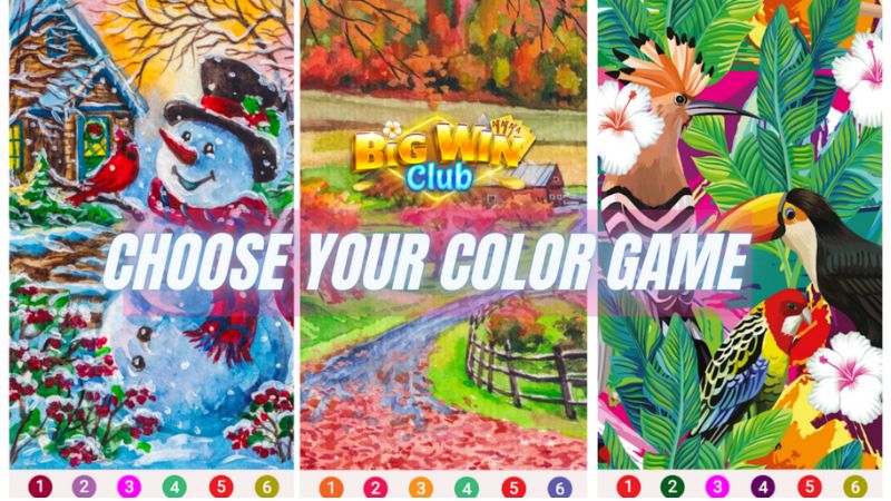 Ang Lucky Color game ay may mataas na rating para sa nilalaman nito Ang Lucky Color game ay may mataas na rating para sa nilalaman nito