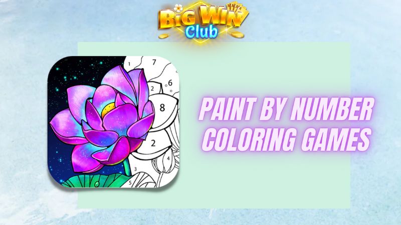 paint by number game